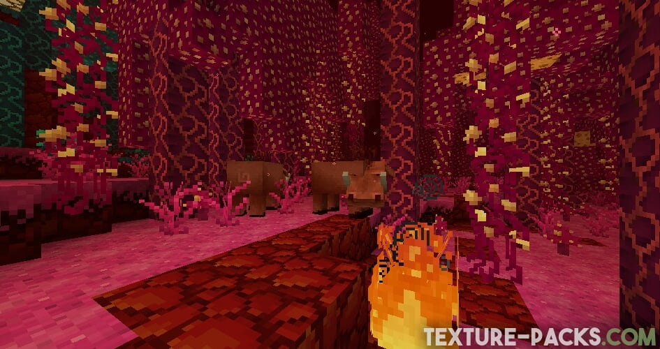Improved Nether with Jolicraft texture pack