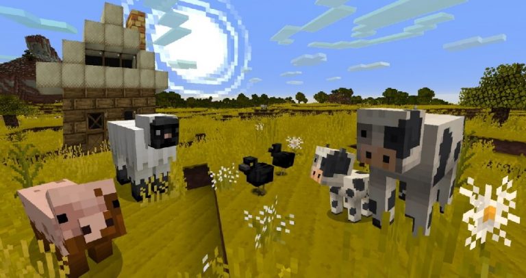 Jolicraft Texture Pack 1.16.4 → 1.10 • Resource Packs Download