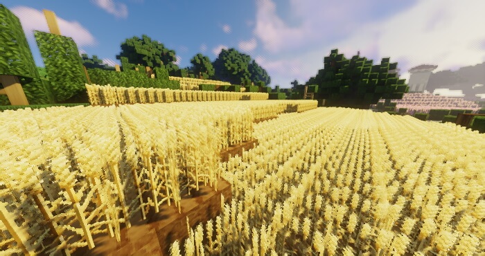 Soartex Fanver Resource Pack Download