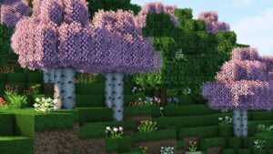 Stay True Resource Pack