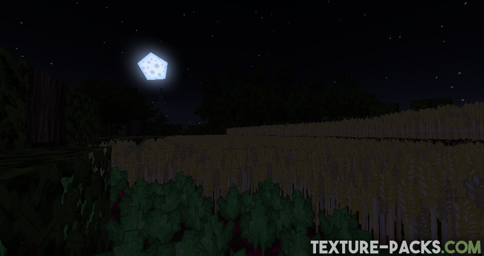 Minecraft night screenshot with GrungeBDcraft