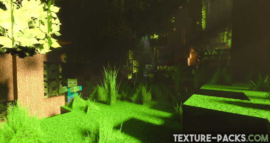 RealSource RTX texture pack screenshot