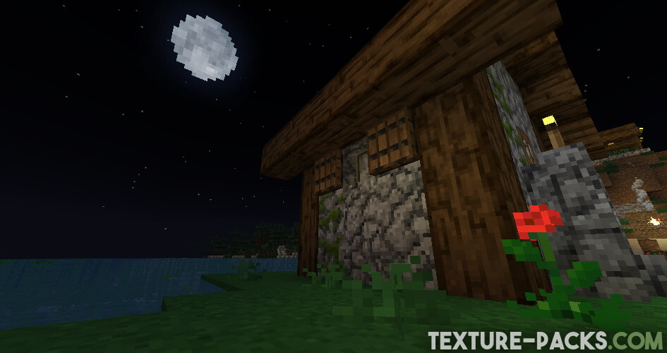 Screenshot of the Minecraft night with Native by SuperBusyMC