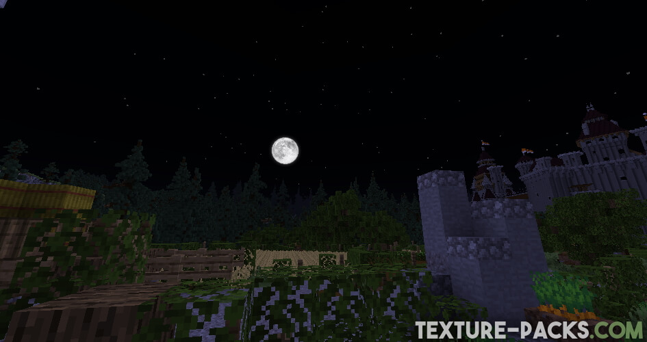 Minecraft custom night sky in the Technoblade texture pack