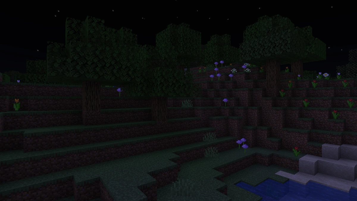 Minecraft night scene without Fullbright. The forest is almost completely dark and terrain details are barely visible.