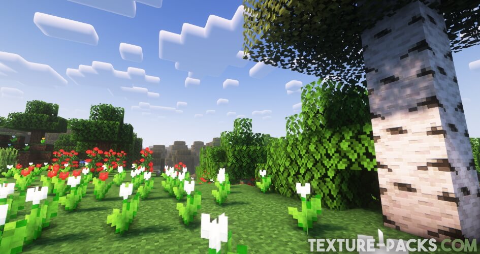 Reimagined Texture Pack 1.19.4 → 1.18.2 — Shaders Mods