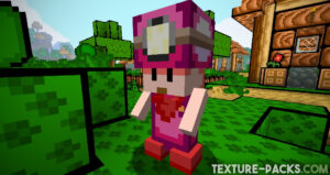 Screenshot of Toadette from Super Mario Bros in Minecraft
