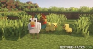 Chicken and rooster from the better animals texture pack