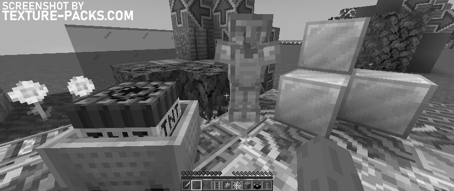 Black and White texture pack compared to Minecraft vanilla (after)