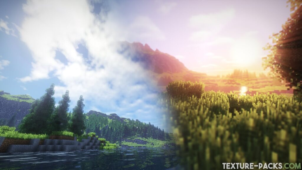 TME shaders