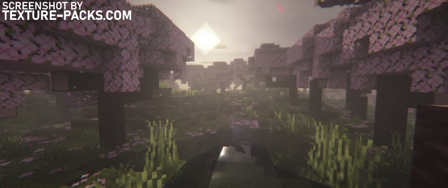 Insanity shaders compared to Minecraft vanilla (after)