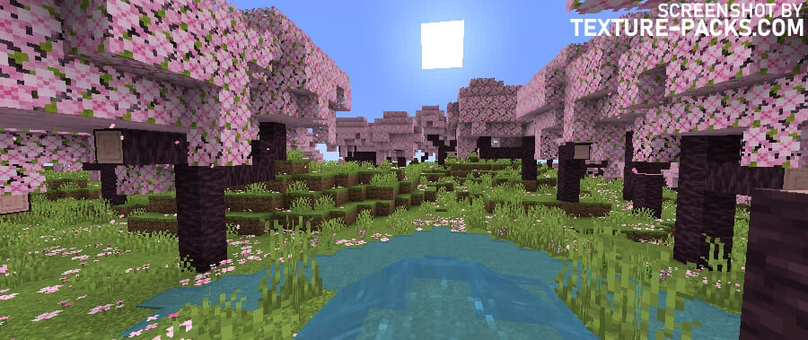 Insanity shaders compared to Minecraft vanilla (before)
