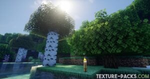 Minecraft forest, water and sun with Bliss shaders