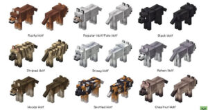 More detailed preview of each wolf in Minecraft PE