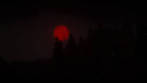 A blood moon dimly lights up a dark forest, enhancing the eerie atmosphere of the night with Spooklementary shaders.