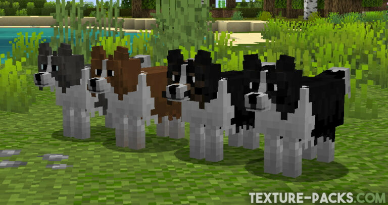 Better Dogs Texture Pack 1.20, 1.20.4 → 1.19, 1.19.4 - Download
