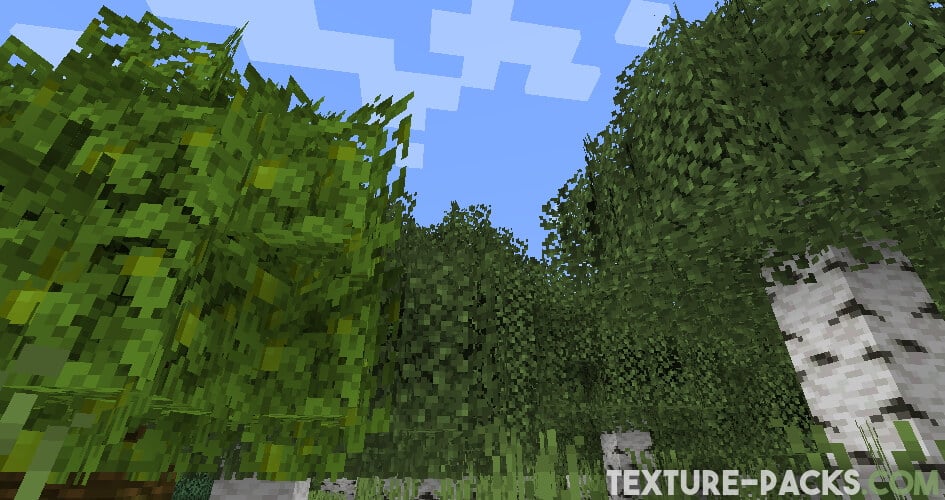 Better Leaves Texture Pack 1.21, 1.21.1 → 1.20 - Download